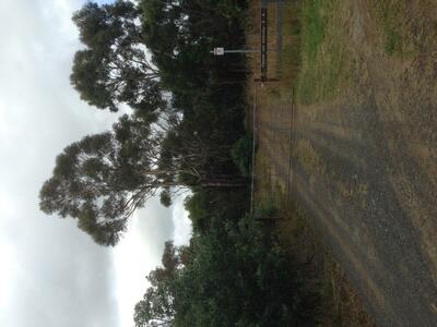 entrance to Pelican Park