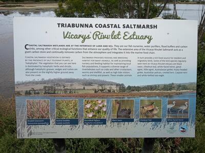 Triabunna Saltmarsh information panel